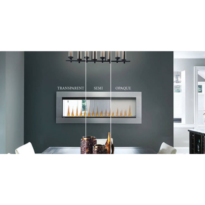 Napoleon 60-Inch CLEARion ELITE See-Thru Electric Fireplace